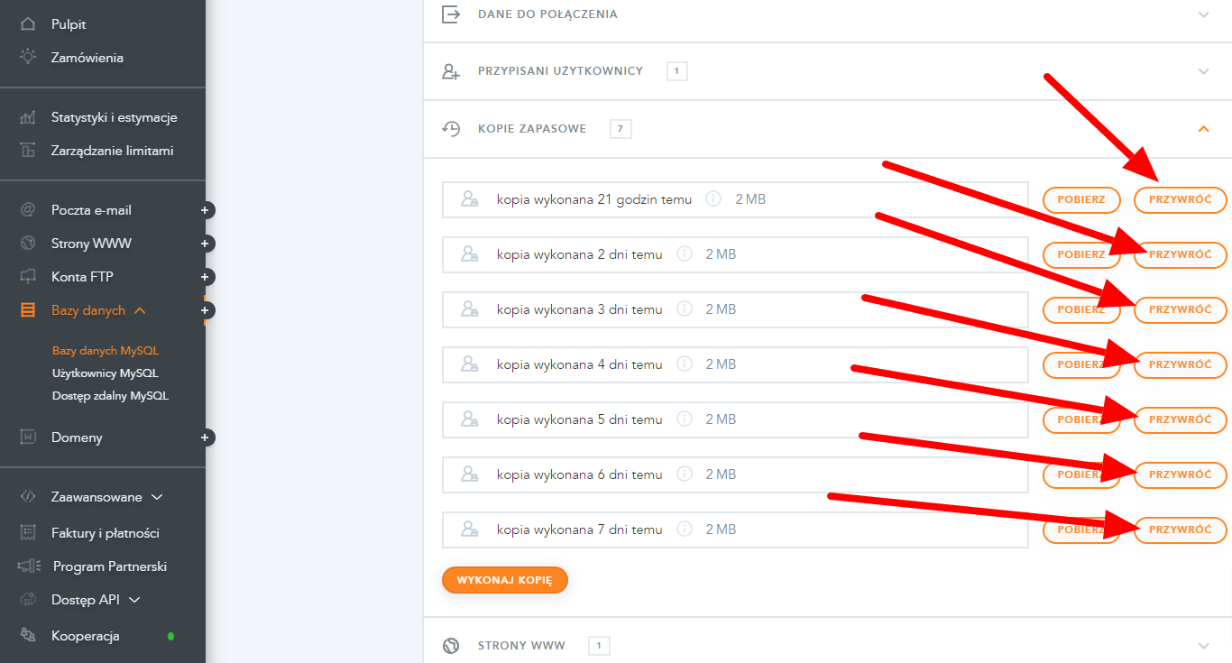 backup-strony-internetowej-baza-danych back strony z poziomu hostingu (dhosting)